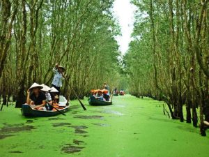 Việc khai thác và sử dụng nguồn tài nguyên một cách hợp lí chính là một trong những yếu tố quan trọng nhất trong các nguyên tắc phát triển du lịch bền vững.