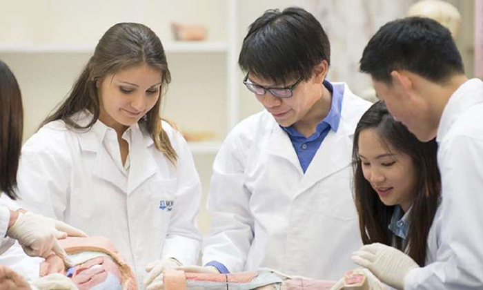 Lộ trình đào tạo du học ngành y tại Úc theo 2 chương trình Đại học và Sau đại học.