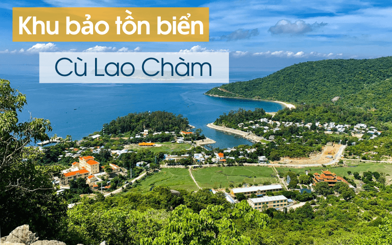 khu bảo tồn biển Cù Lao Chàm