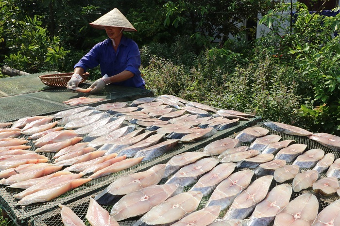 Cá thu một nắng lựa chọn phần thân giữa, dày mình, màu trắng hồng. 