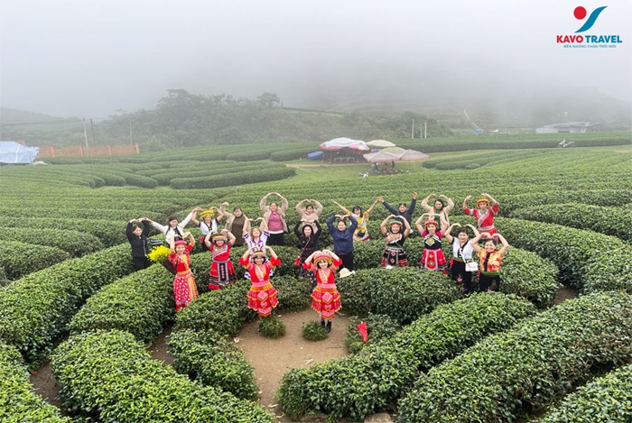 Du lịch Khát Vọng Việt cung cấp các tour du lịch Mộc Châu, Sơn La với lịch trình đa dạng, linh động