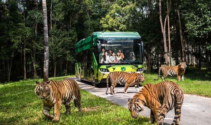 Vin Safari Phú Quốc