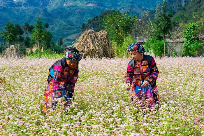 Ưu tiên lựa chọn tour ghép đoàn để tiết kiệm chi phí