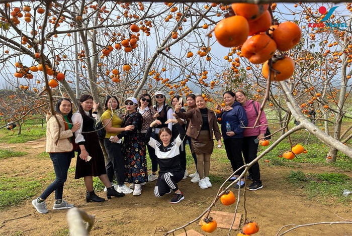 Các tour du lịch Mộc Châu do Kavo Travel tổ chức được thiết kế tỉ mỉ, đảm bảo mang lại trải nghiệm tối ưu cho du khách.
