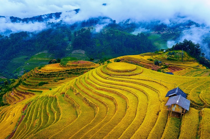 Giới thiệu về Mù Cang Chải 