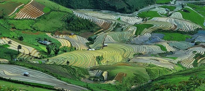 Thung lũng Cao Phạ