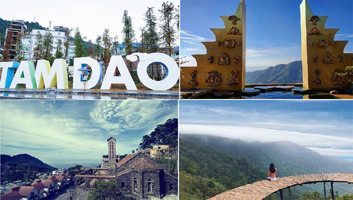 Tam Đảo là một điểm đến sở hữu khung cảnh hữu tình quanh năm.